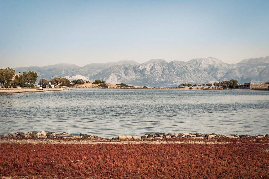 Elounda Olive Garden Apts & Studios Buitenkant foto