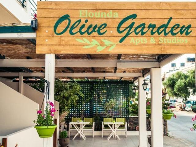 Elounda Olive Garden Apts & Studios Buitenkant foto