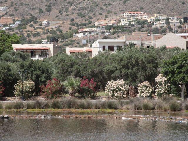 Elounda Olive Garden Apts & Studios Buitenkant foto