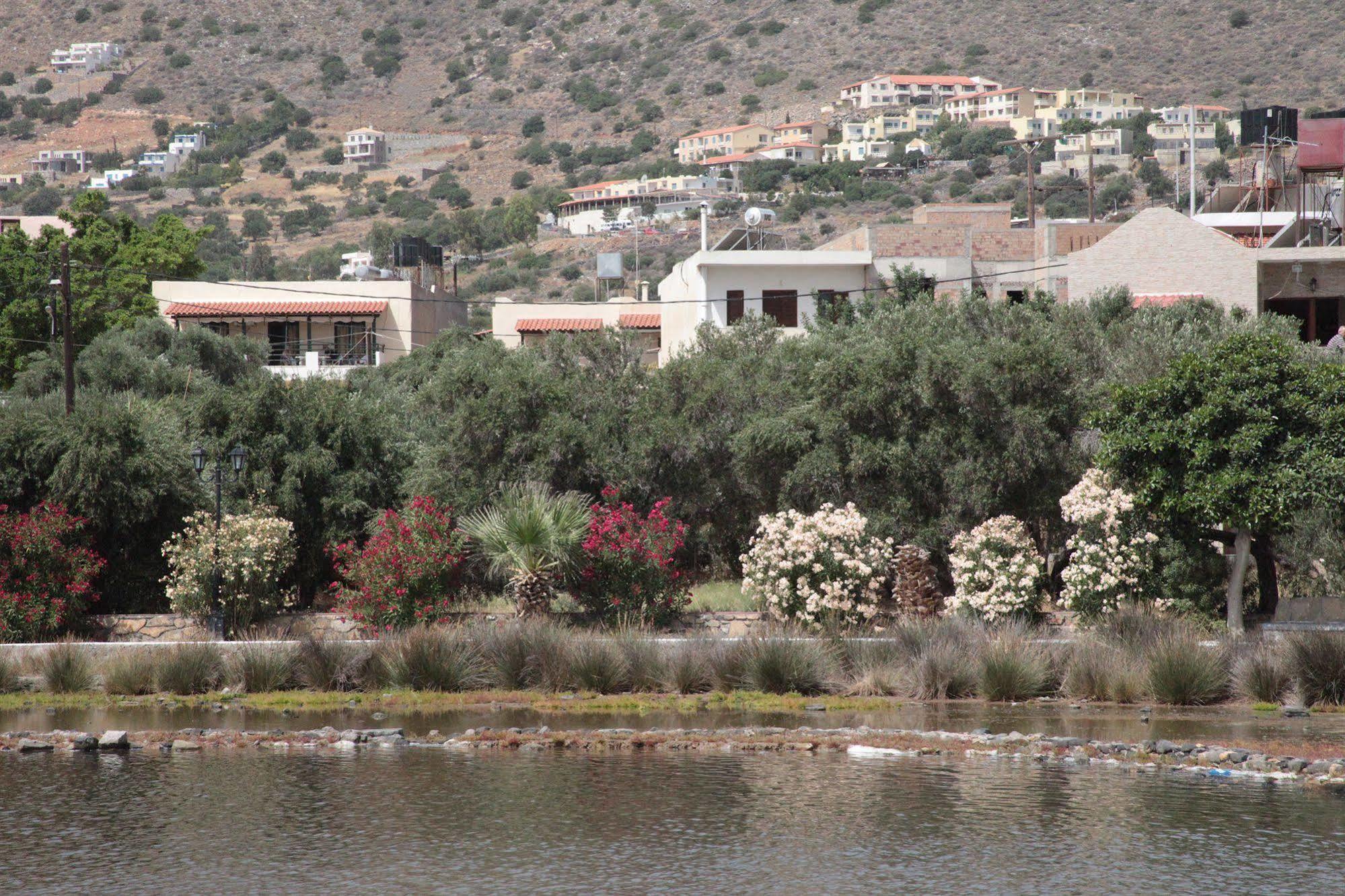 Elounda Olive Garden Apts & Studios Buitenkant foto
