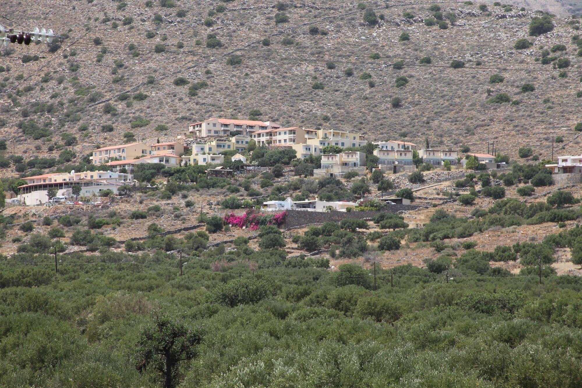 Elounda Olive Garden Apts & Studios Buitenkant foto